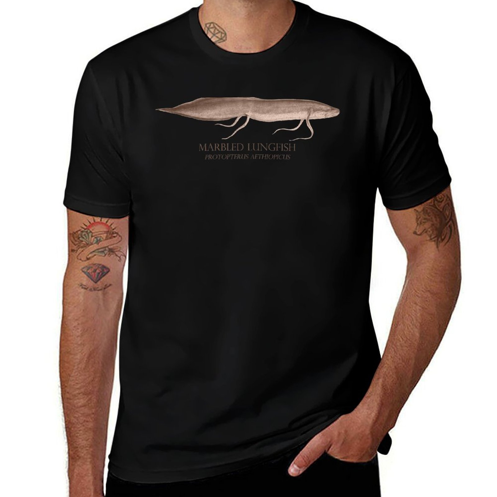 Aquarium Fish Monster - Lungfish Protopterus Aquarium Monster Fish Keeper