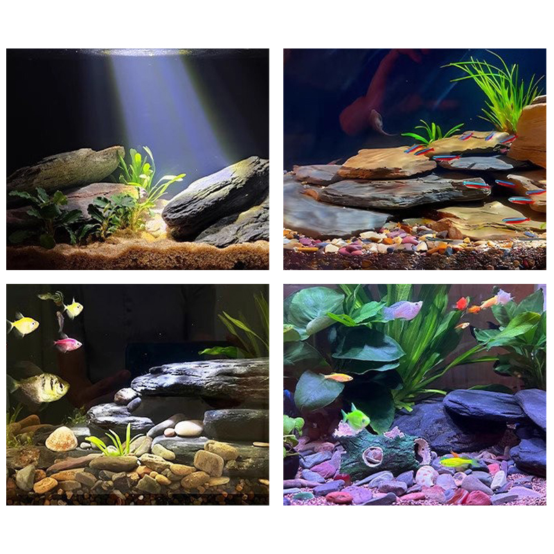 500/1000g Fish Tank Landscape  - Aquarium Fish House recension och pris