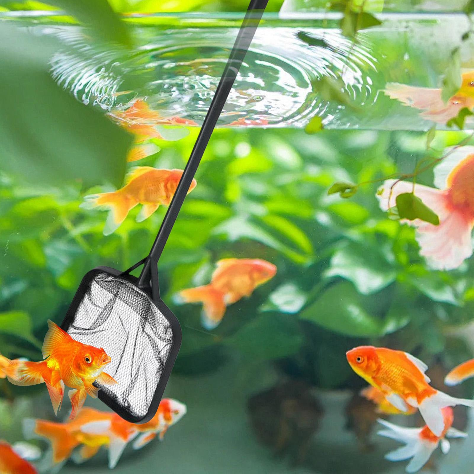 Pool Nets for Cleaning Portabl - Aquarium Fish House recension och pris