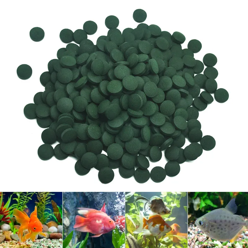 100/500pcs Spirulina Tablets E - Fish Food Flake recension och pris
