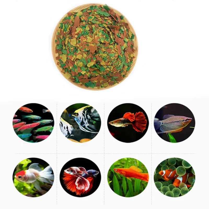 NEW Healthy Fish Food Flakes F - Fish Food Flake recension och pris