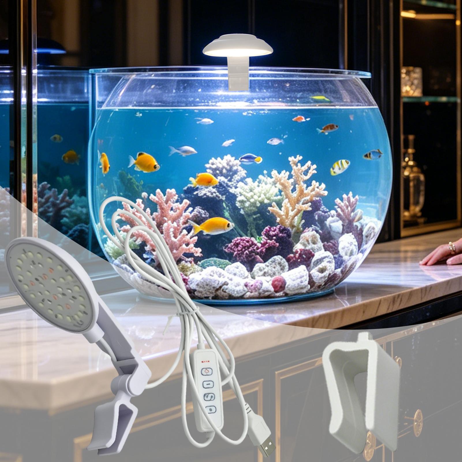 Aquarium Led Light Waterproof  - Aquarium Fish For Beginners recension och pris
