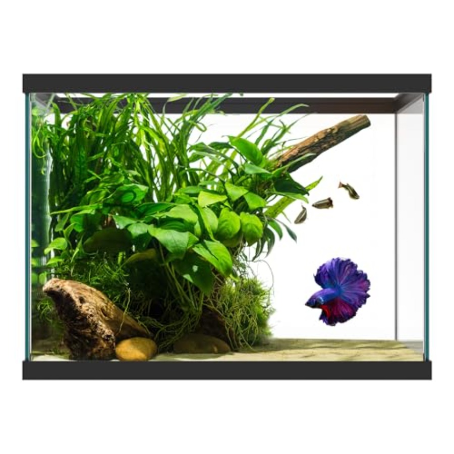 20 Gallon Glass Aquarium - 24  - Fish Toy In Aquarium recension och pris
