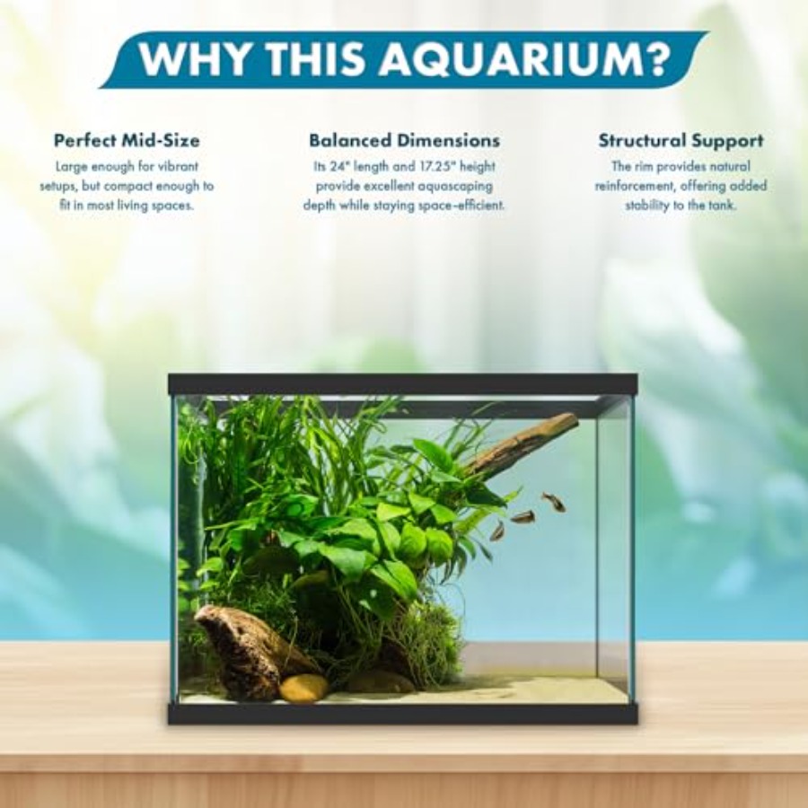 20 Gallon Glass Aquarium - 24  - Fish Toy In Aquarium recension och pris