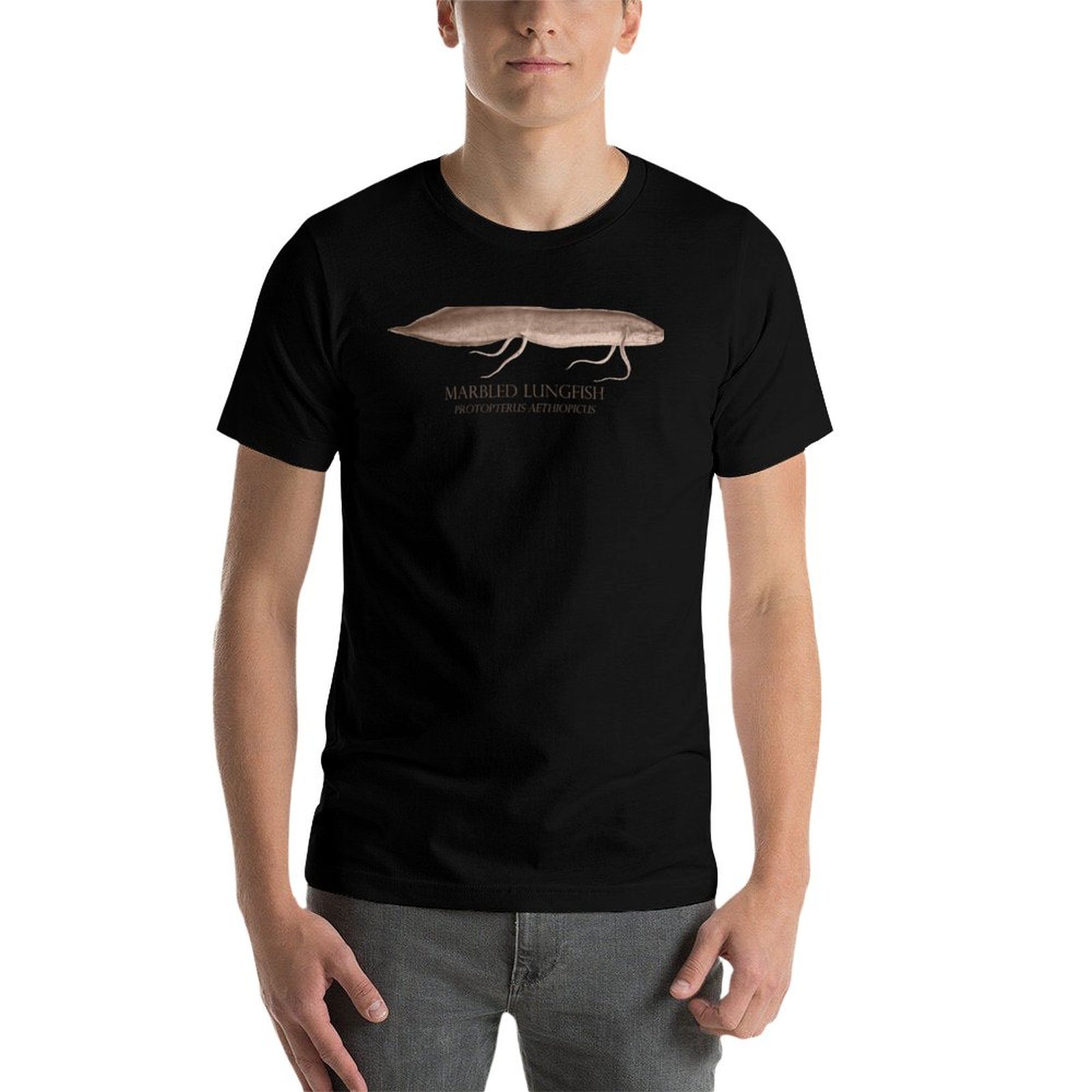 Lungfish Protopterus Aquarium  - Aquarium Fish Monster recension och pris