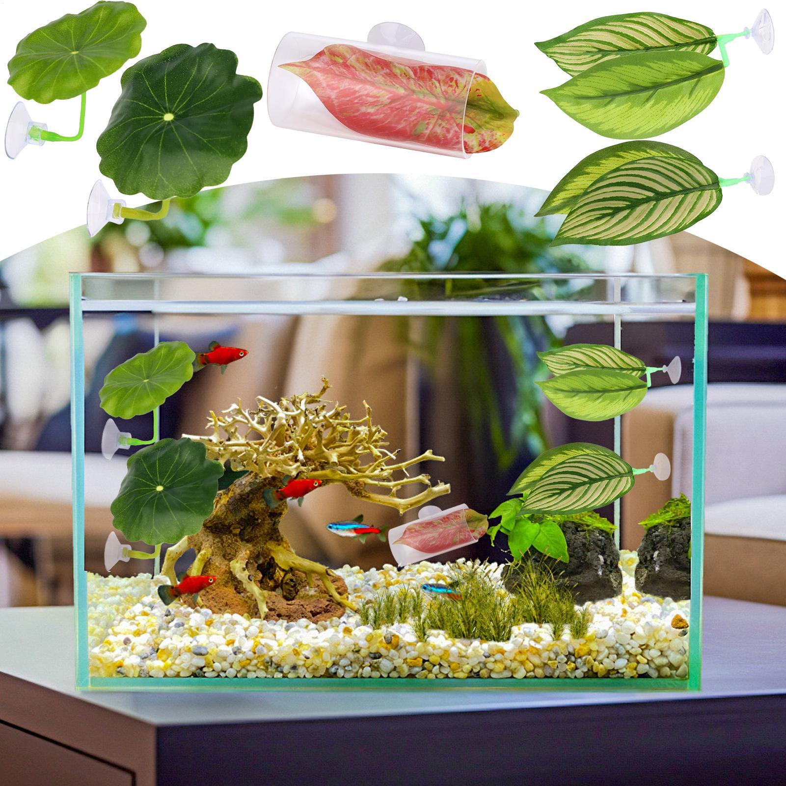 Betta Fish Hammock 5 Pieces Ad - Fish Toy In Aquarium recension och pris