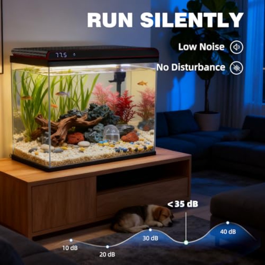 20 Gallon Glass Fish Tank for  - Fish Toy In Aquarium recension och pris