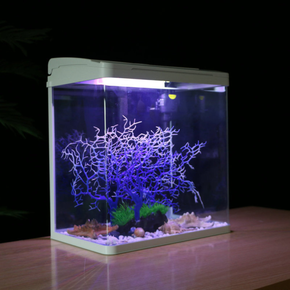 Premium Glass Aquarium Fish Ta - Fish Toy In Aquarium recension och pris