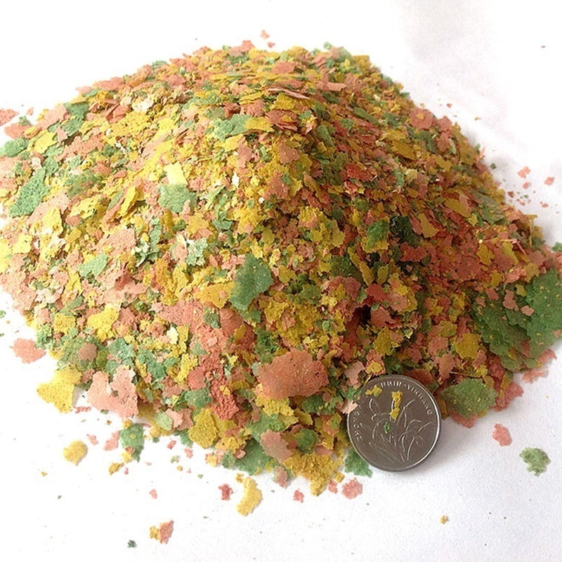 2026 Fresh Tropical Fish Flake - Fish Food Flake recension och pris