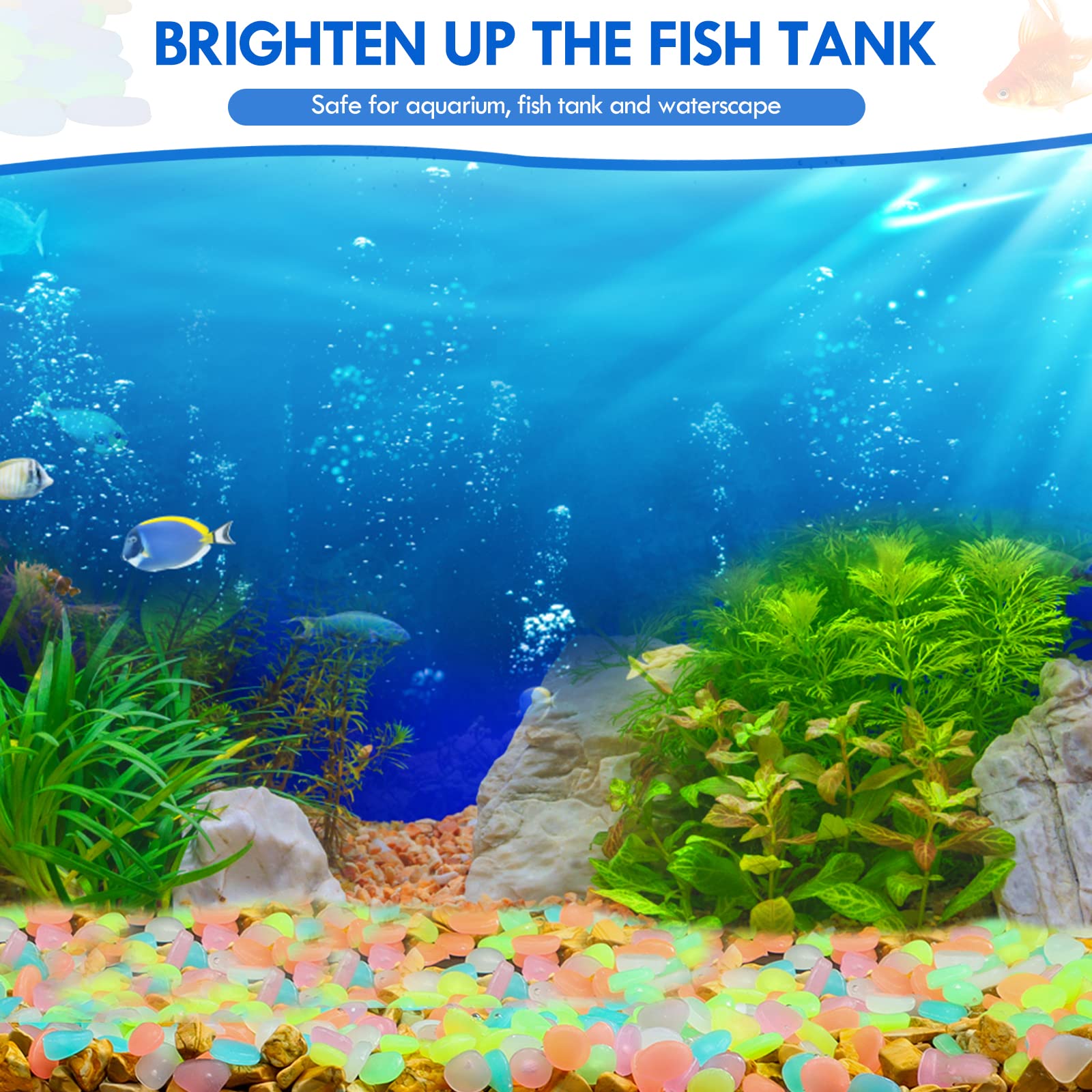 100Pcs Glow in the Dark Garden - Aquarium Fish House recension och pris