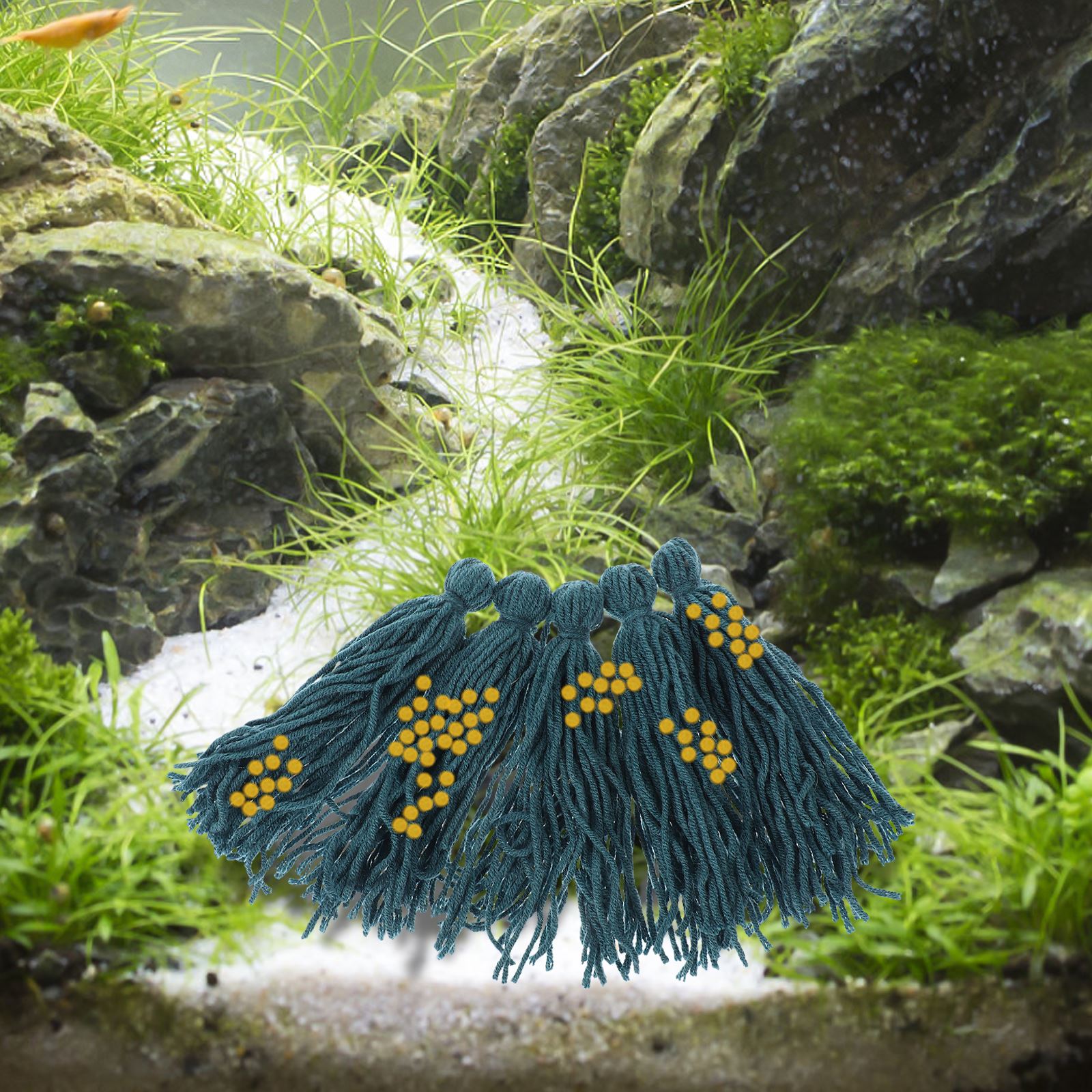 5Pcs Hatchery Spawning Mop Spa - Aquarium Fish For Beginners recension och pris
