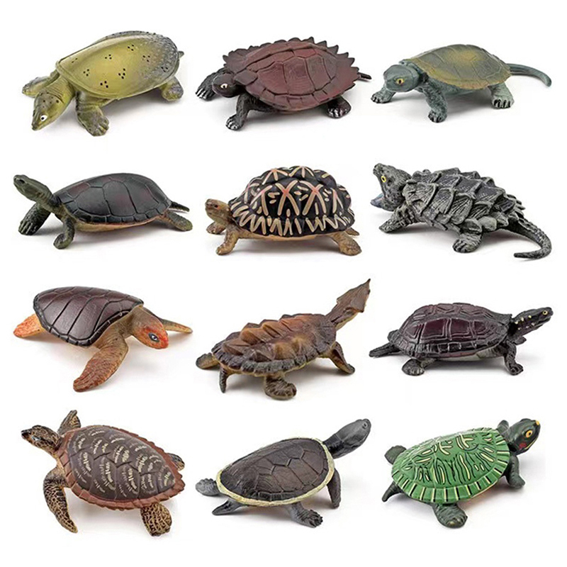 Realistic Turtle Action Figure - Aquarium Fish For Beginners recension och pris